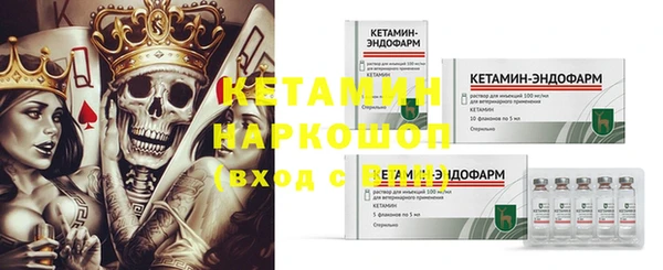 СК Аркадак